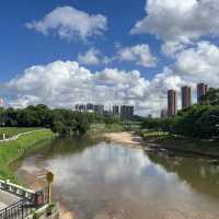 打卡深圳觀瀾濕地公園