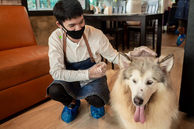 Dog Country Café พุทธมณฑลสายสอง