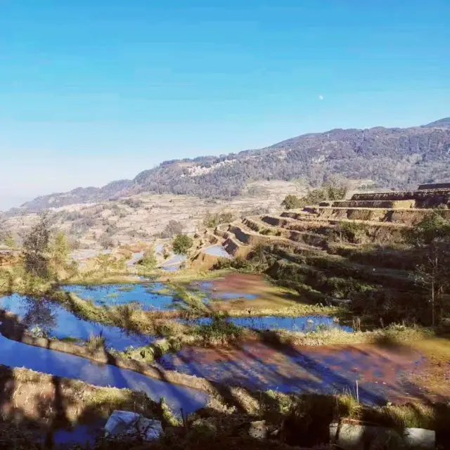 Rice Terraces in the Autumn-Sun