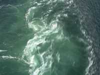 挪威北極地區薩爾特流