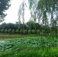 Exploring historical Jincheng...