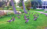 Beautiful Minnehaha Fall and Park