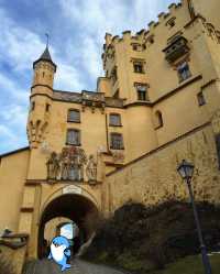 Hohenschwangau Castle | 12th century knight's castle under the Alps