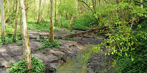 Walk 28 Coalbrookdale 3 miles | Coalbrookdale & Ironbridge Community Centre