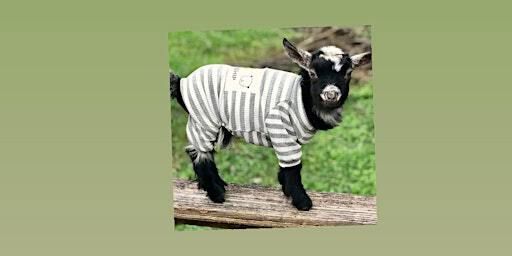 Goat Yoga Nashville- January Jammies | Goat Yoga Nashville