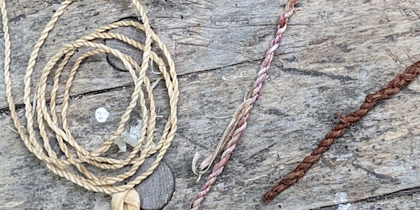 Wild Fibres EOC 2806 | Bradfield Woods National Nature Reserve