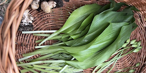 Full-Day Foraging Course, Huddersfield | Dean Wood
