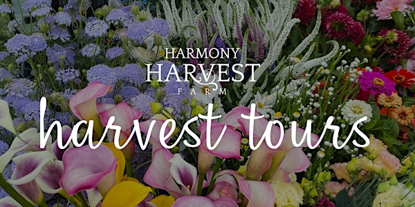 Harvest Tours | Harmony Harvest Farm