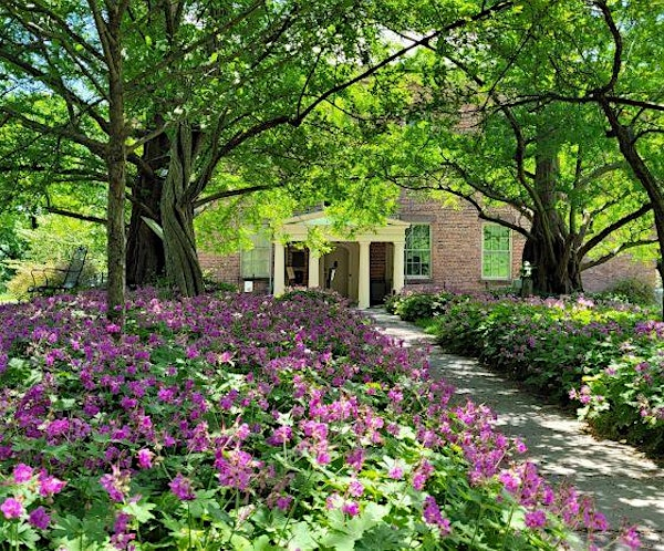 Native Plants, Invasive Species & Solutions at the Ten Broeck Mansion | Ten Broeck Mansion