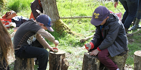 Abberton Home Education Trees and Wood whittling | Abberton Reservoir Nature Discovery Park