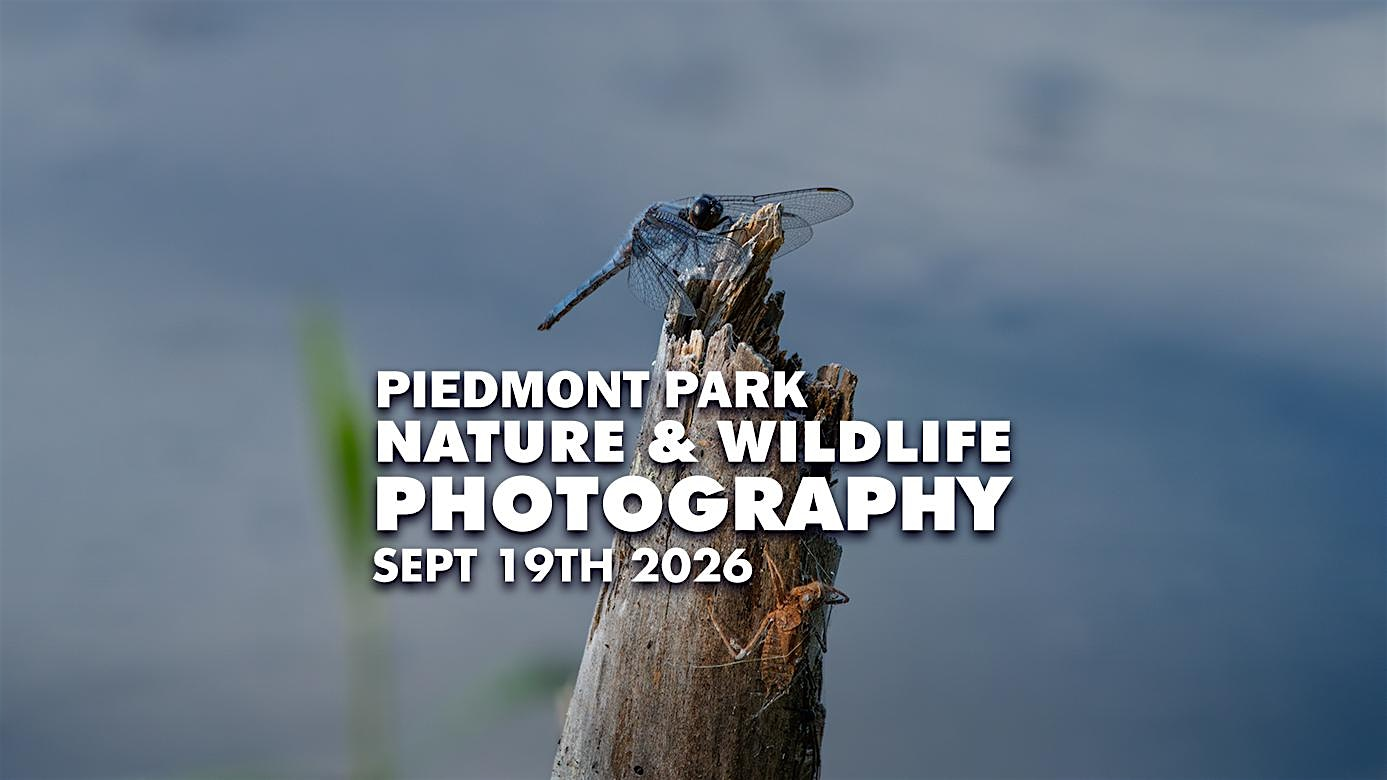 Piedmont Park Nature & Wildlife Photography Meetup | Dockside Visitor Center