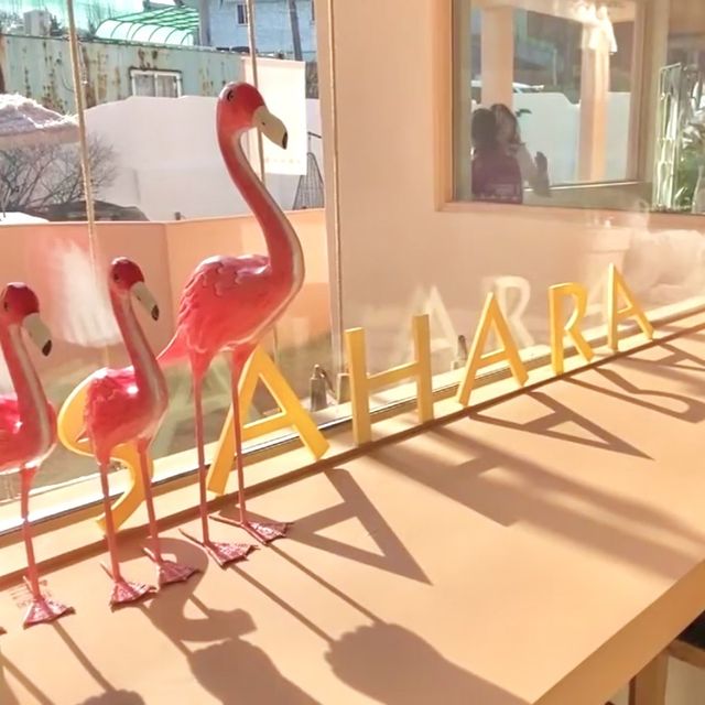 청주 이색 카페, 사하라