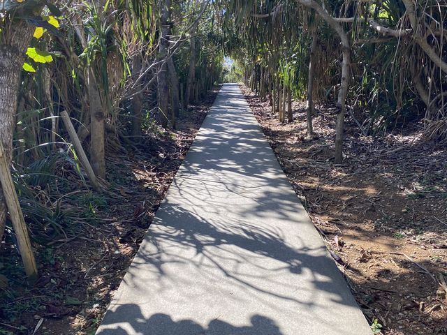 【沖縄・宮古島】通り池