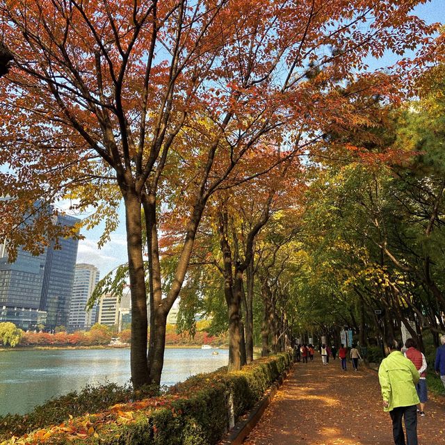 가을이 왔어요
