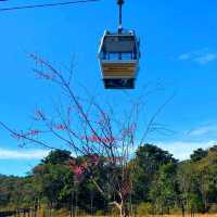 NGONG PING 360