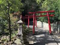 【大分】海地獄が見える！白龍稲荷大神⛩