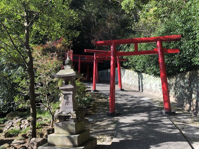【大分】海地獄が見える！白龍稲荷大神⛩