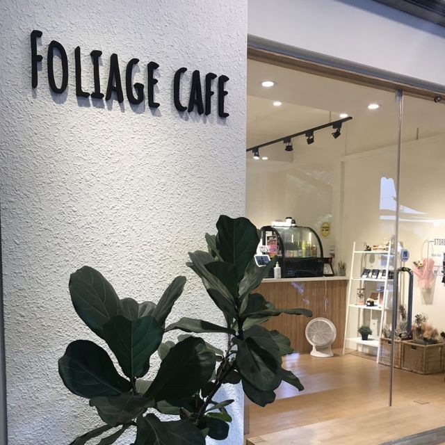 板橋寵物友善咖啡廳☕️foliage cafe圓圓小鬆餅🥞聖誕節🎄限定！