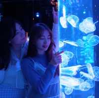 【全港首個海洋探索體驗館🌊】