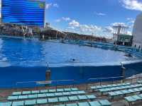 名古屋港水族館といえば🐬【イルカショー】＆名古屋港のレストラン