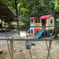 จิบกาแฟ ชมสัตว์ บ้านสวนกวาง โฮมสเตย์&คาเฟ่ พัทลุง