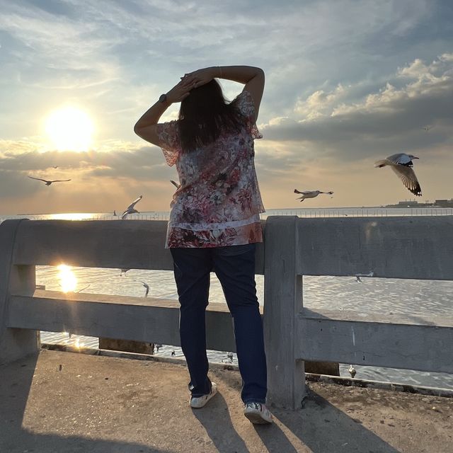 บางปู ธรรมชาติเยียวยาใจฉัน 🕊🕊