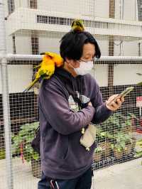【掛川花鳥園】「花と鳥とのふれあい」が楽しめるテーマパーク