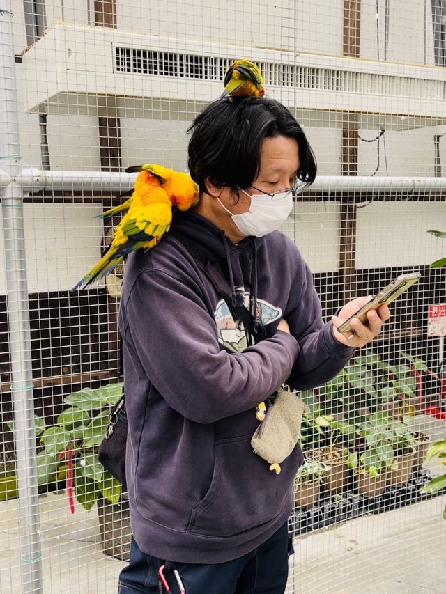 【掛川花鳥園】「花と鳥とのふれあい」が楽しめるテーマパーク