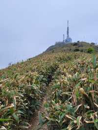 東山象山飛鵝山 