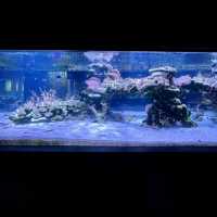 すみだ水族館といえば…？