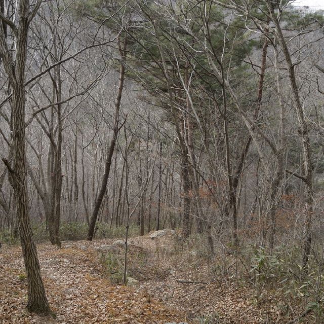 영광 불갑산 등산