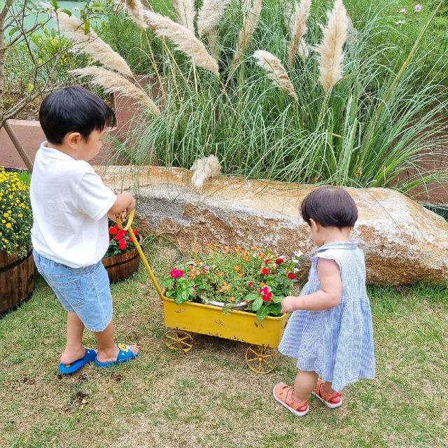 경주 사진찍기 너무 이쁜 '소풍가다'