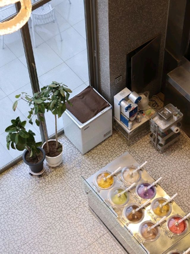 강릉 카페 추천, 순두부 젤라또