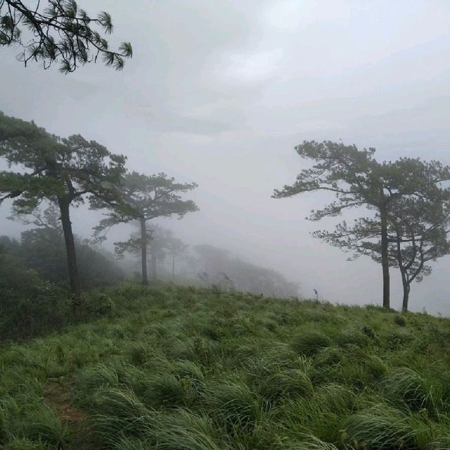 ดอยหลวงตาก ที่คนสายเดินป่าไม่ควรพลาด