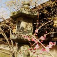 2，3月の京都旅行なら北野天満宮
