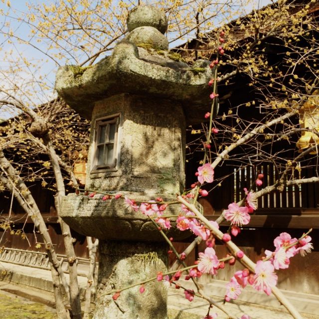 2，3月の京都旅行なら北野天満宮