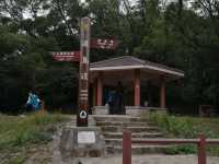 港島徑柏架山段 