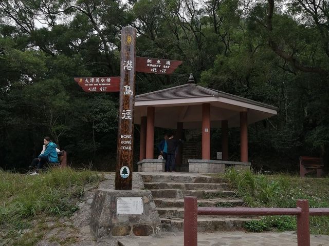港島徑柏架山段 