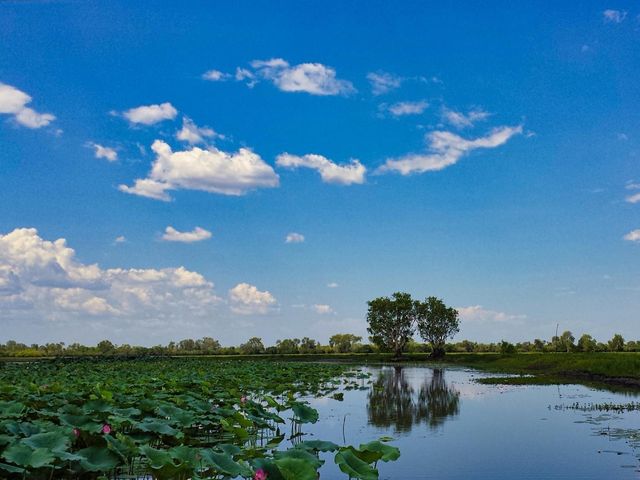 澳洲北領地上的世界遺產國家公園 - 卡卡杜國家公園