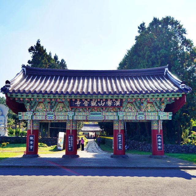 ☸️ 제주가을과 함께하는 열려있는 사찰, 관음사
