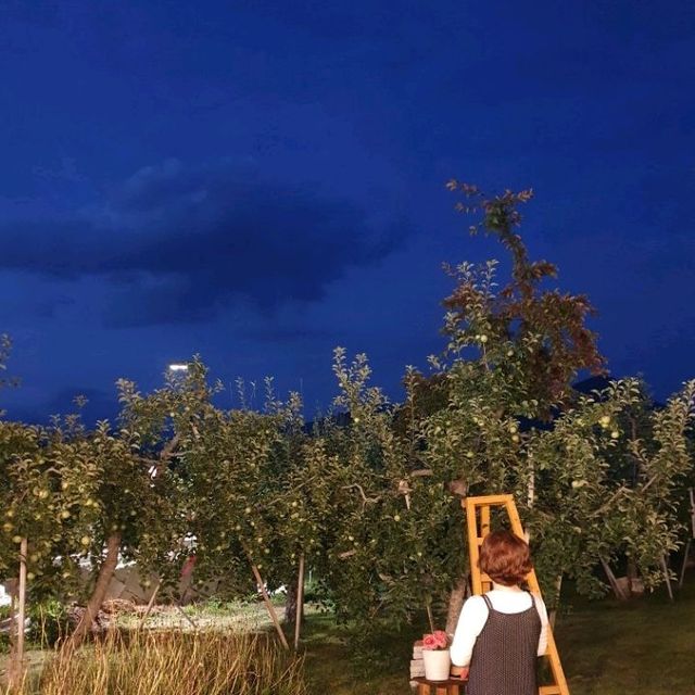 해플스 팜사이더리🍎