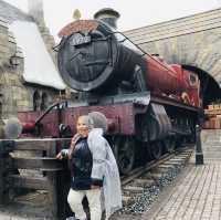 The Wizarding World of Harry Potter 
