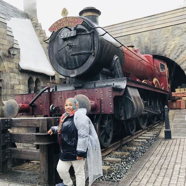 The Wizarding World of Harry Potter 