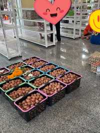 กราบบนบานหลวงพ่อโสธรด้วยไข่ต้ม