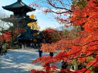 真正極楽寺 (真如堂)