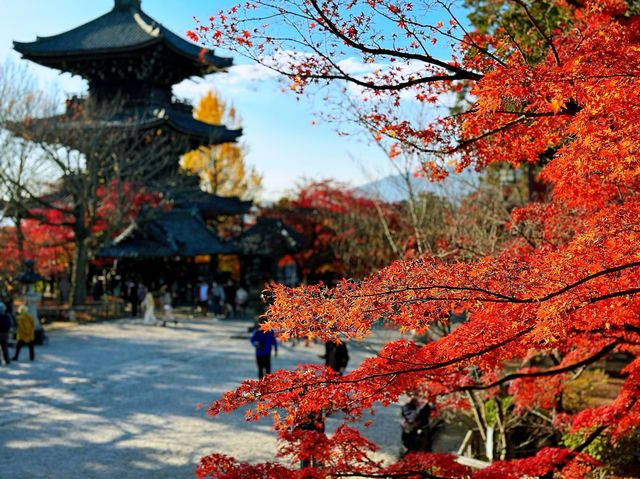 真正極楽寺 (真如堂)