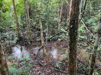 Come Explore Lower Peirce Reservior 