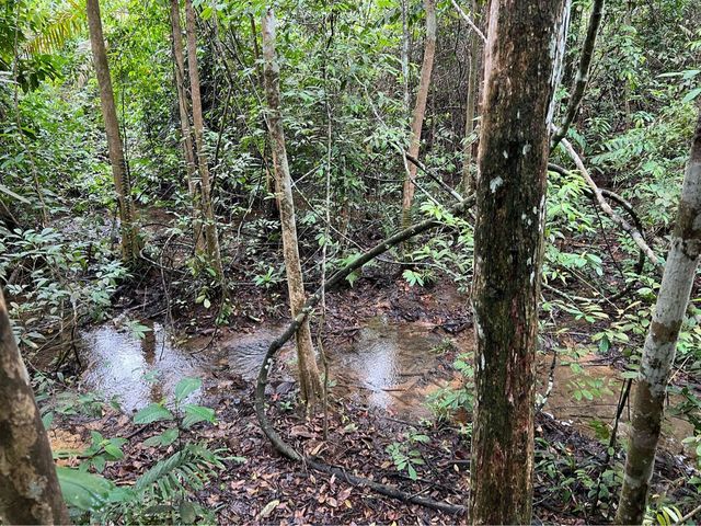 Come Explore Lower Peirce Reservior 