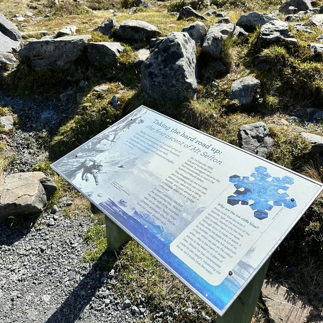 NZ Mt Cook Kea Point 