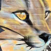 Fitzroy. A haven for street art lovers